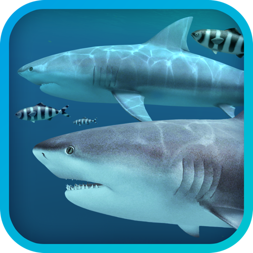 Sharks 3D for Mac(3D海底鲨鱼动态壁纸) 