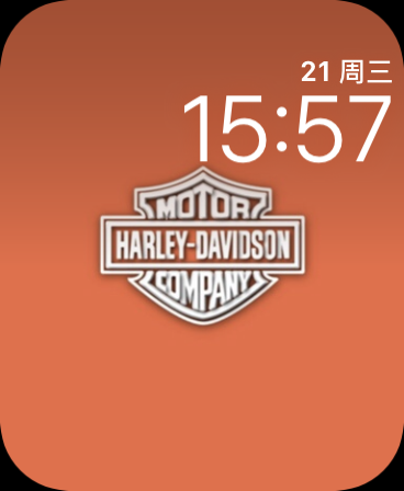 哈雷·戴维森(Harley Davidson)表盘