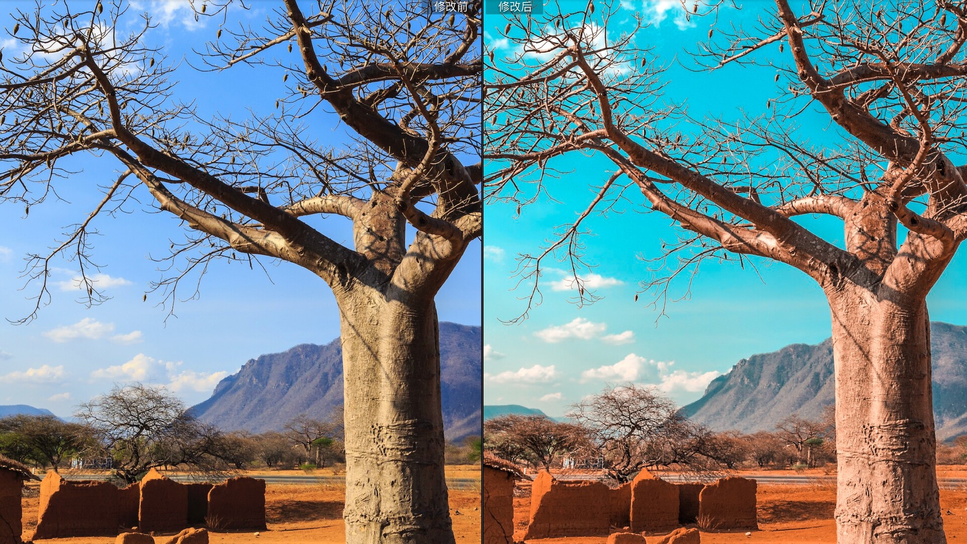 非洲地理杂志自然风景摄影lr预设