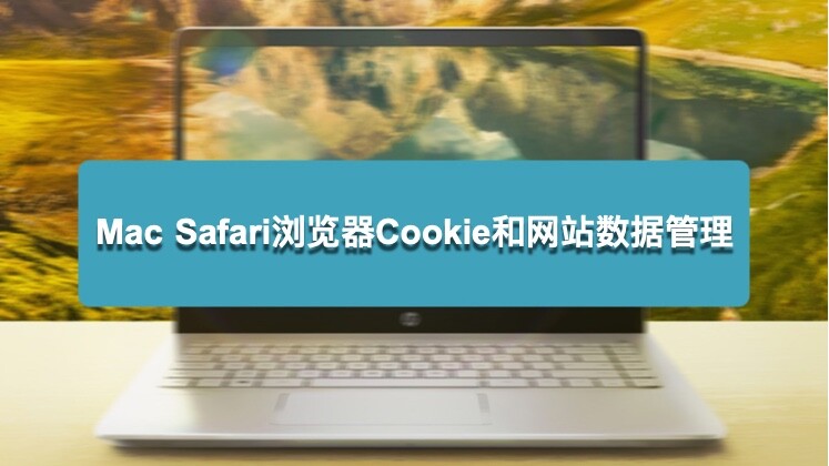 Mac电脑Safari 浏览器中Cookie 和网站数据如何管理