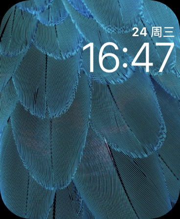 蓝羽毛(Blue Feathers)表盘