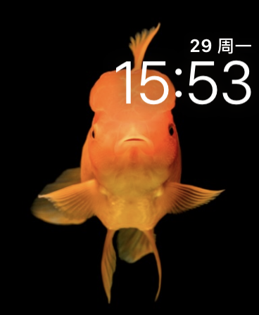 金鱼(Goldfish)表盘