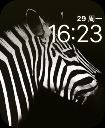 斑马(Zebra)<em>表盘</em>