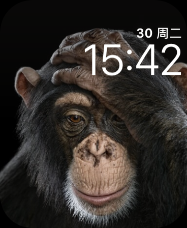 黑猩猩(Chimp)表盘