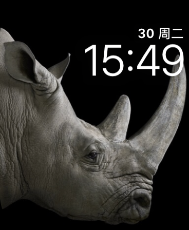 犀牛(Rhino)<em>表盘</em>