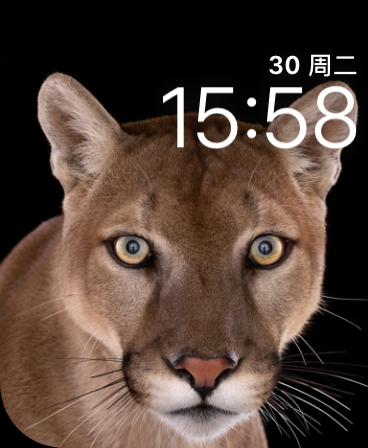 彪马(Puma)表盘