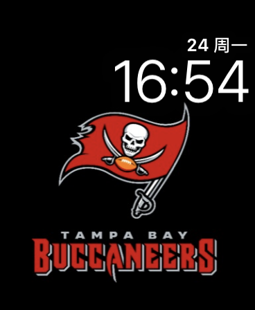 海盗船徽标(Buccaneers Logo)表盘