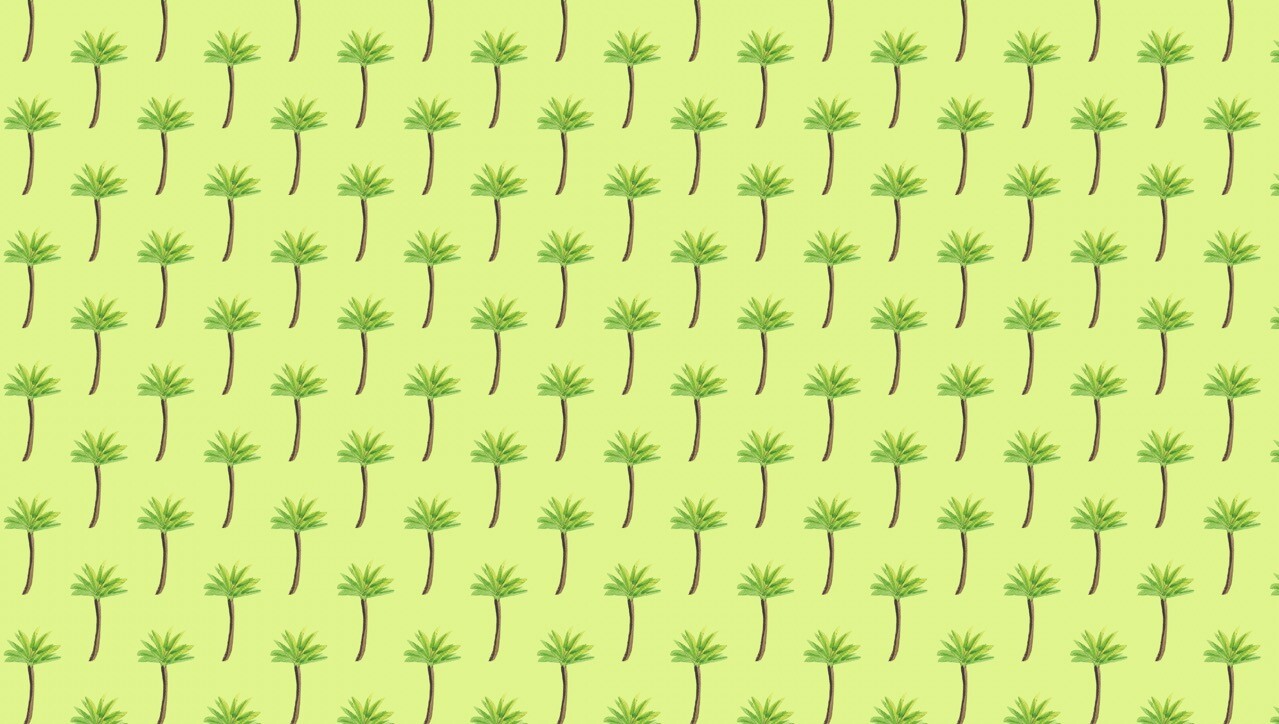 椰子树等海岛植物PS填充图案