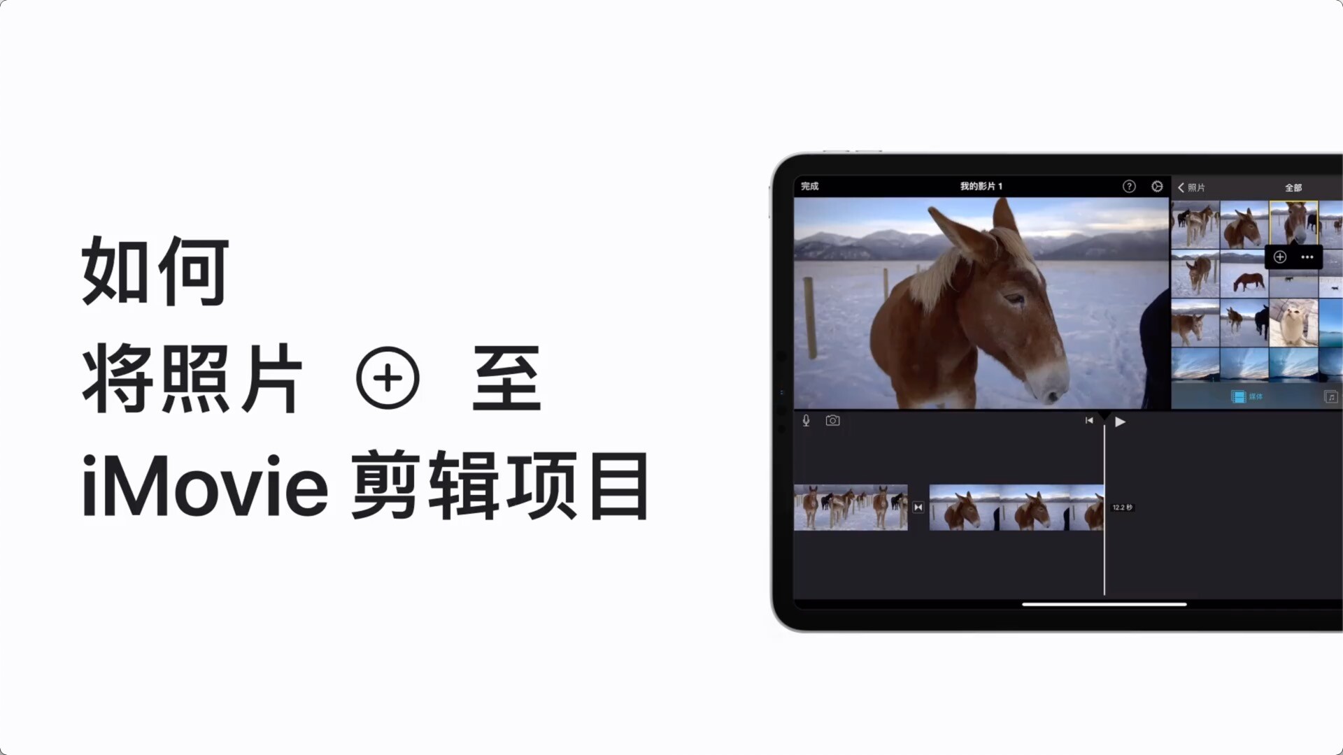 Mac专业视频剪辑软件iMovie使用教程