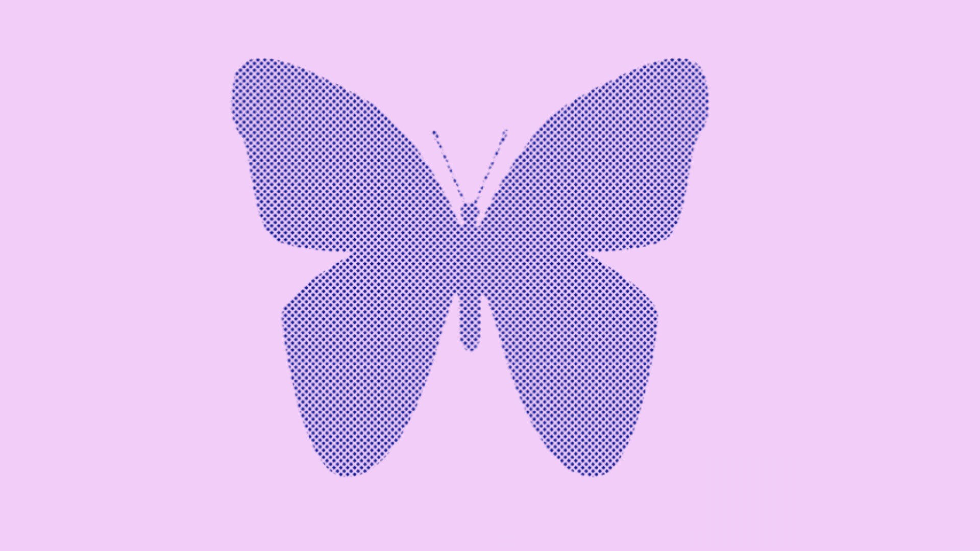 蝴蝶、花瓣、雪花等图案PS笔刷
