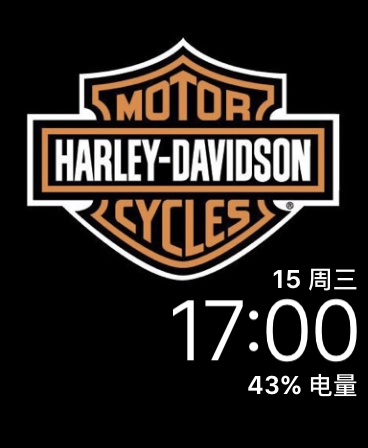 哈雷戴维森(Harley Davidson)表盘
