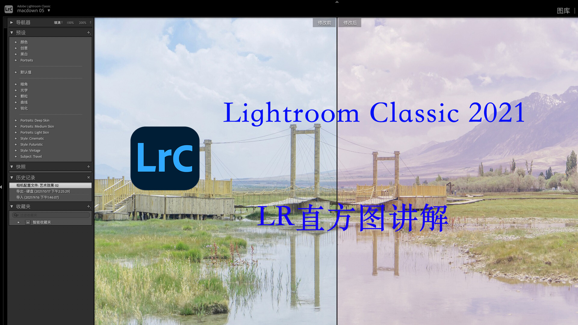 Lightroom Classic基础教程： LR2021直方图的使用