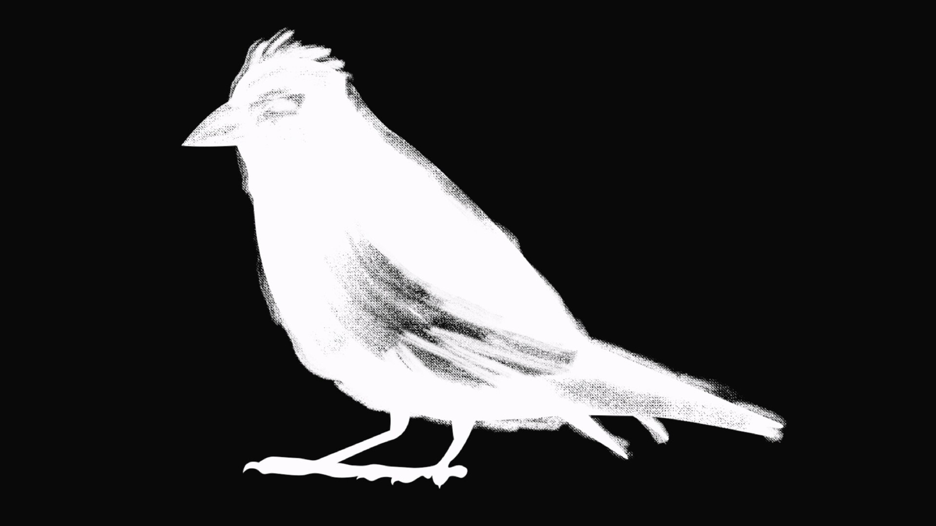 黑白鸟雀图案Ps笔刷