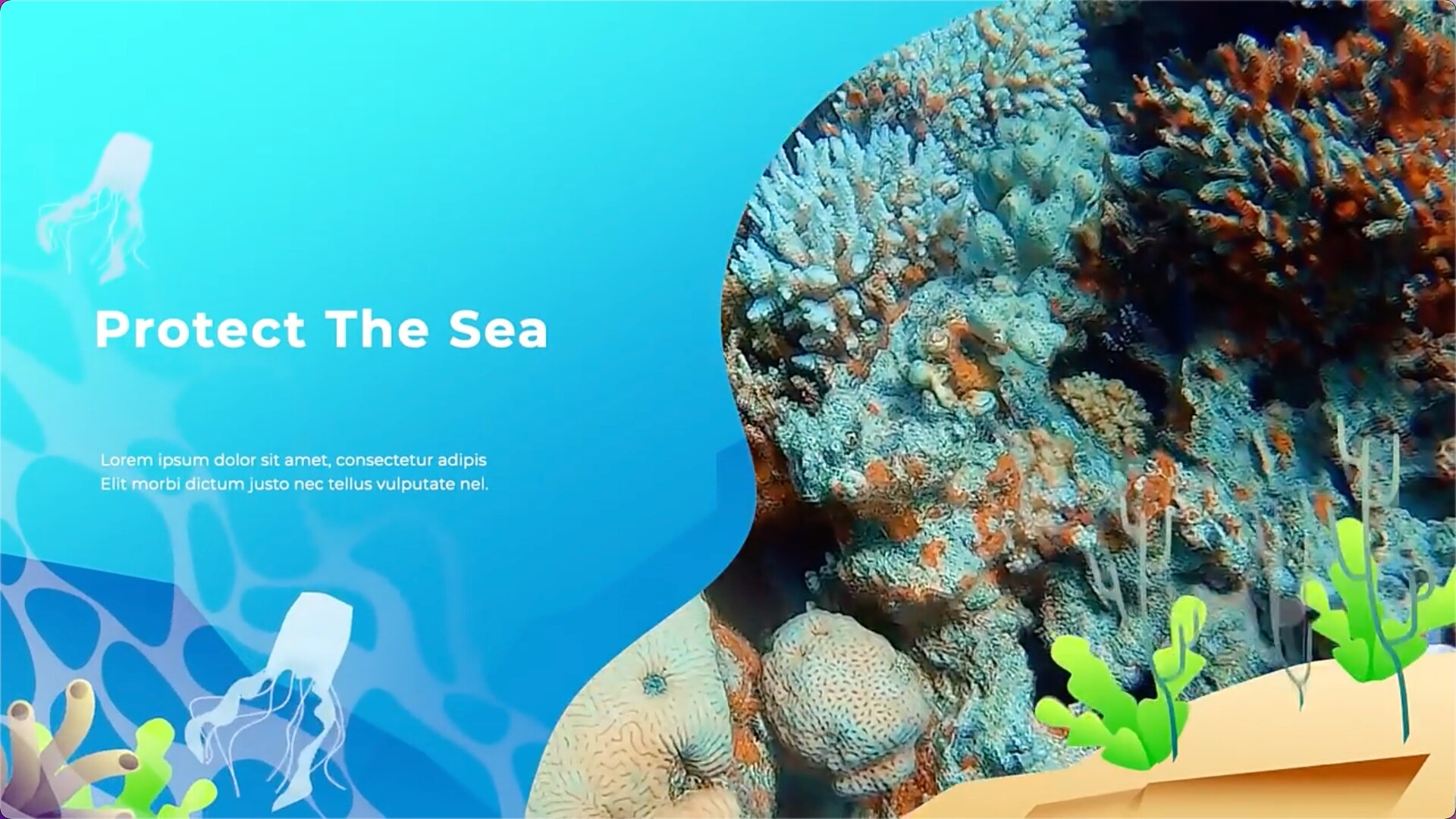 FCPX插件：卡通有趣海底世界元素图文介绍展示动画Save The Ocean Slideshow