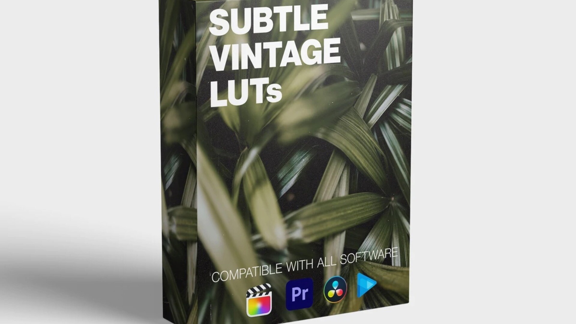 luts预设：Subtle Vintage LUT预设复合色彩调整处理滤镜