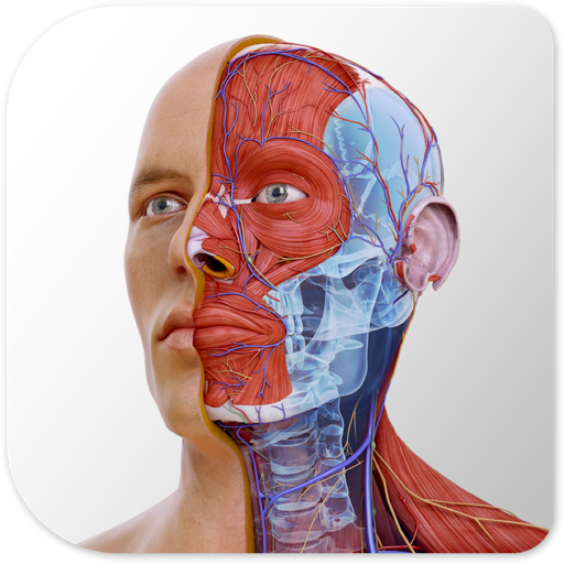 Complete Anatomy 2022 for Mac(3D医学软件)