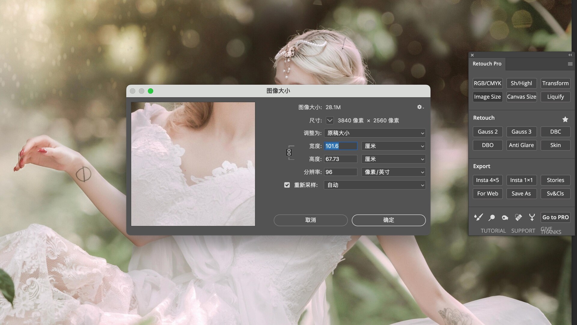 Photoshop磨皮插件：Pro Retouch Panel for Mac 支持ps2022