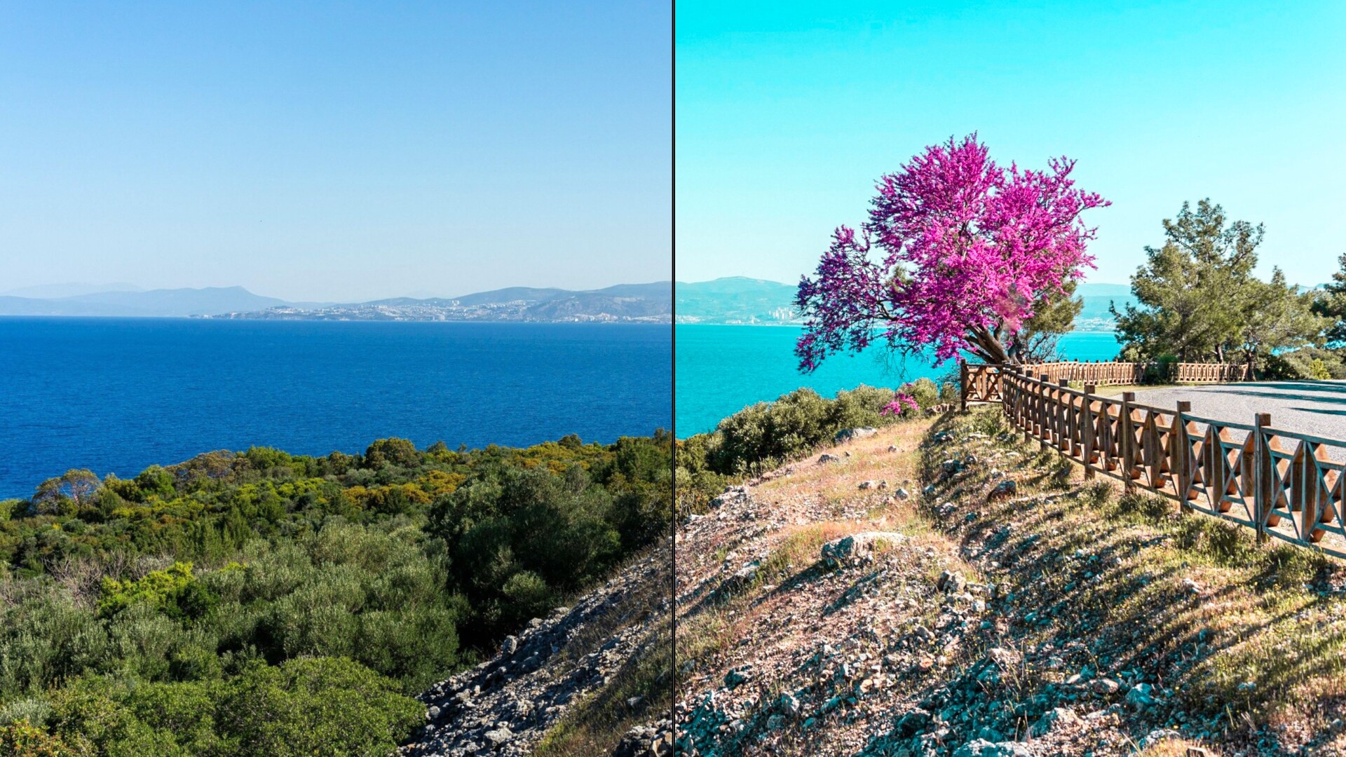 明亮通透海邊旅拍攝影后期效果Lr預設