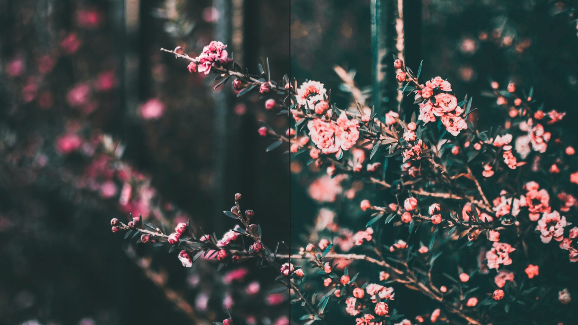 夜間攝影專用lr預設