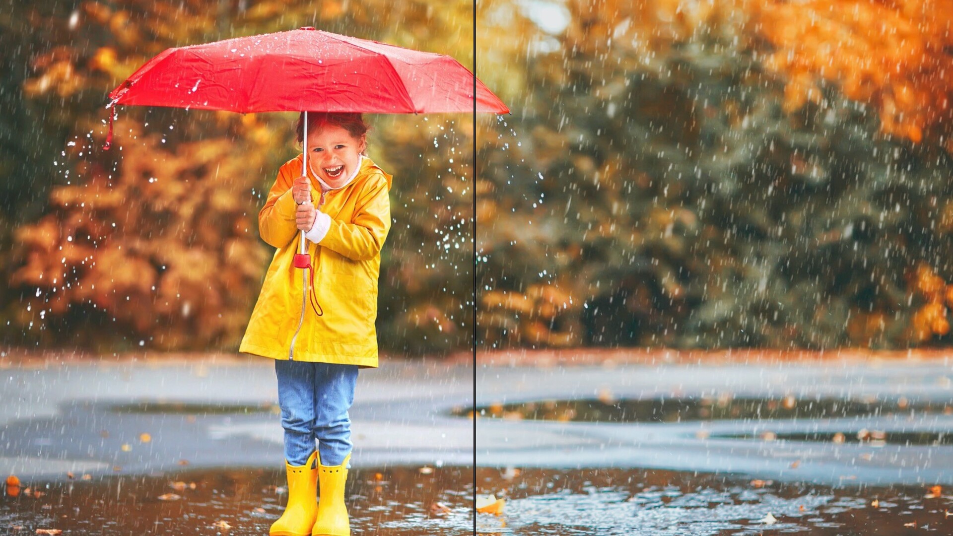 自然風景橙綠色lr預設