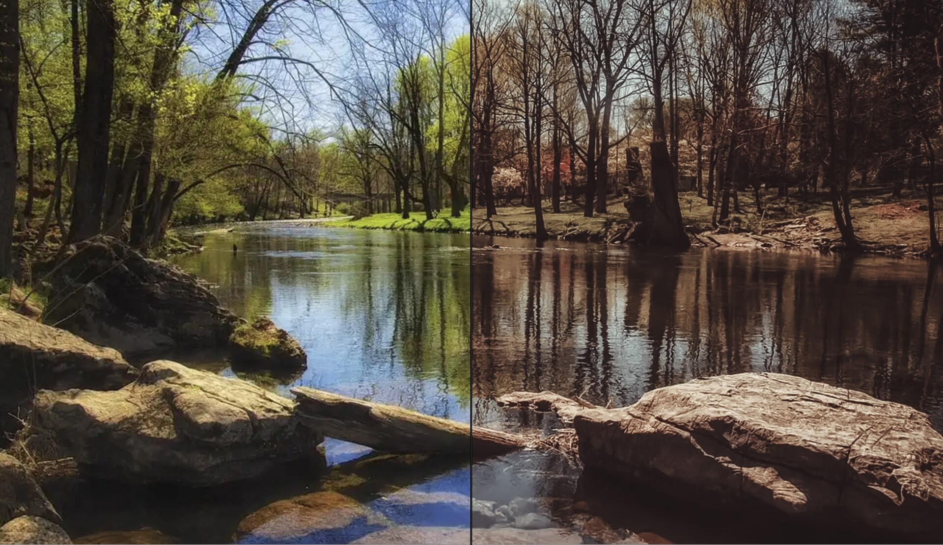 森系人像褐色調LR預設