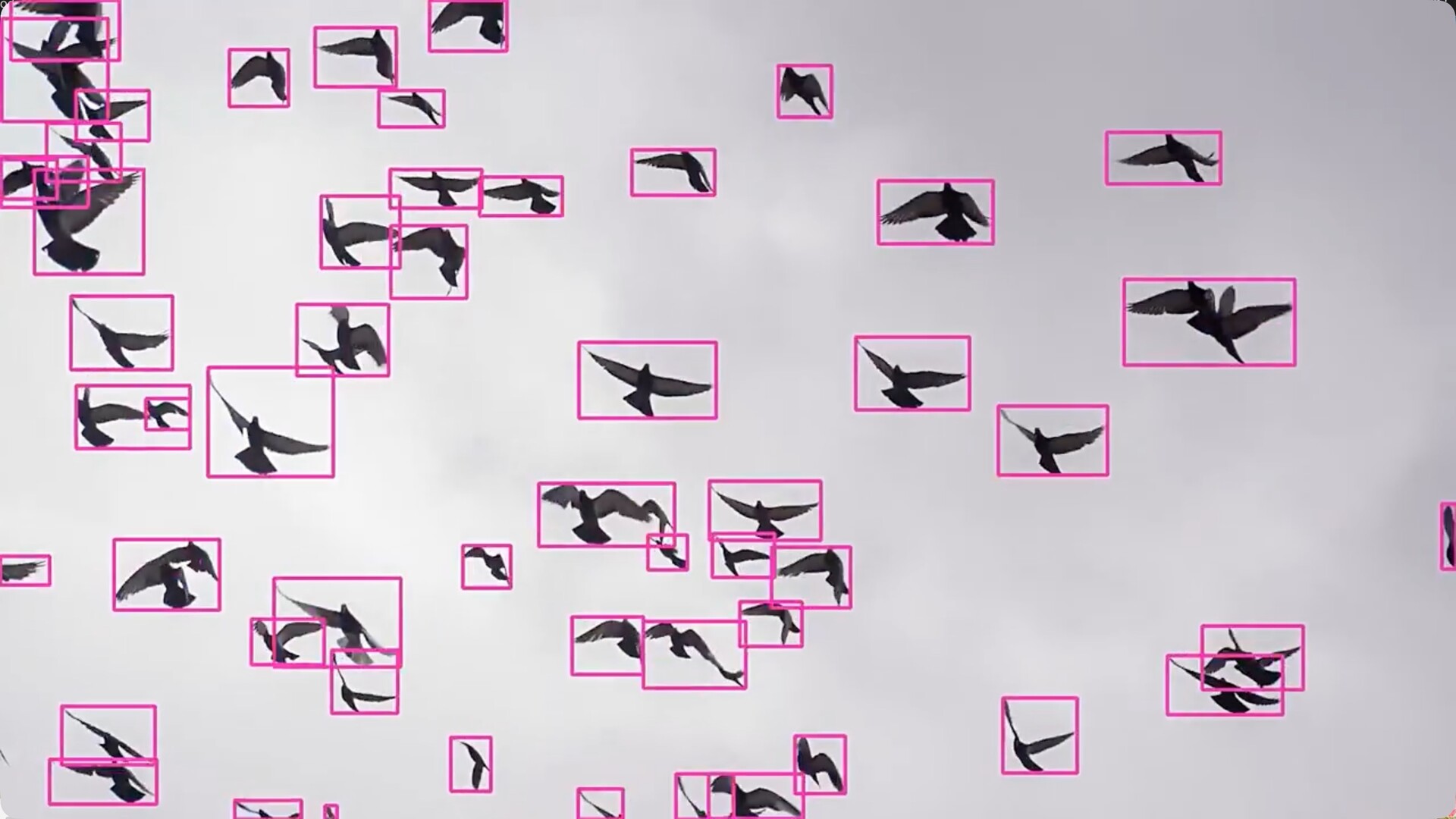 AE插件-AI人工智能遮罩蒙版生成器 Mask Prompter for mac