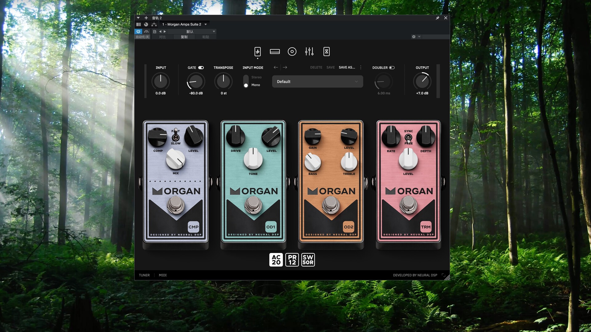 Neural DSP Morgan Amps Suite Mac(经典吉他放大器建模)