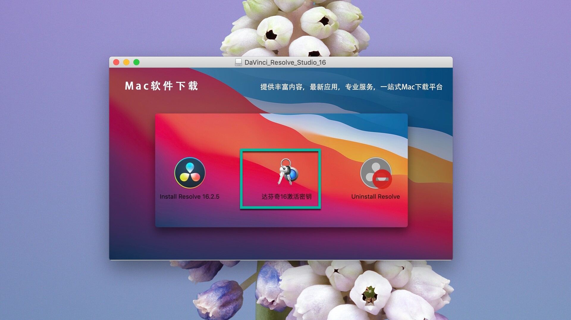 达芬奇下载中文下载-DaVinci Resolve Studio 16 for Mac(达芬奇调色视频剪辑软件)