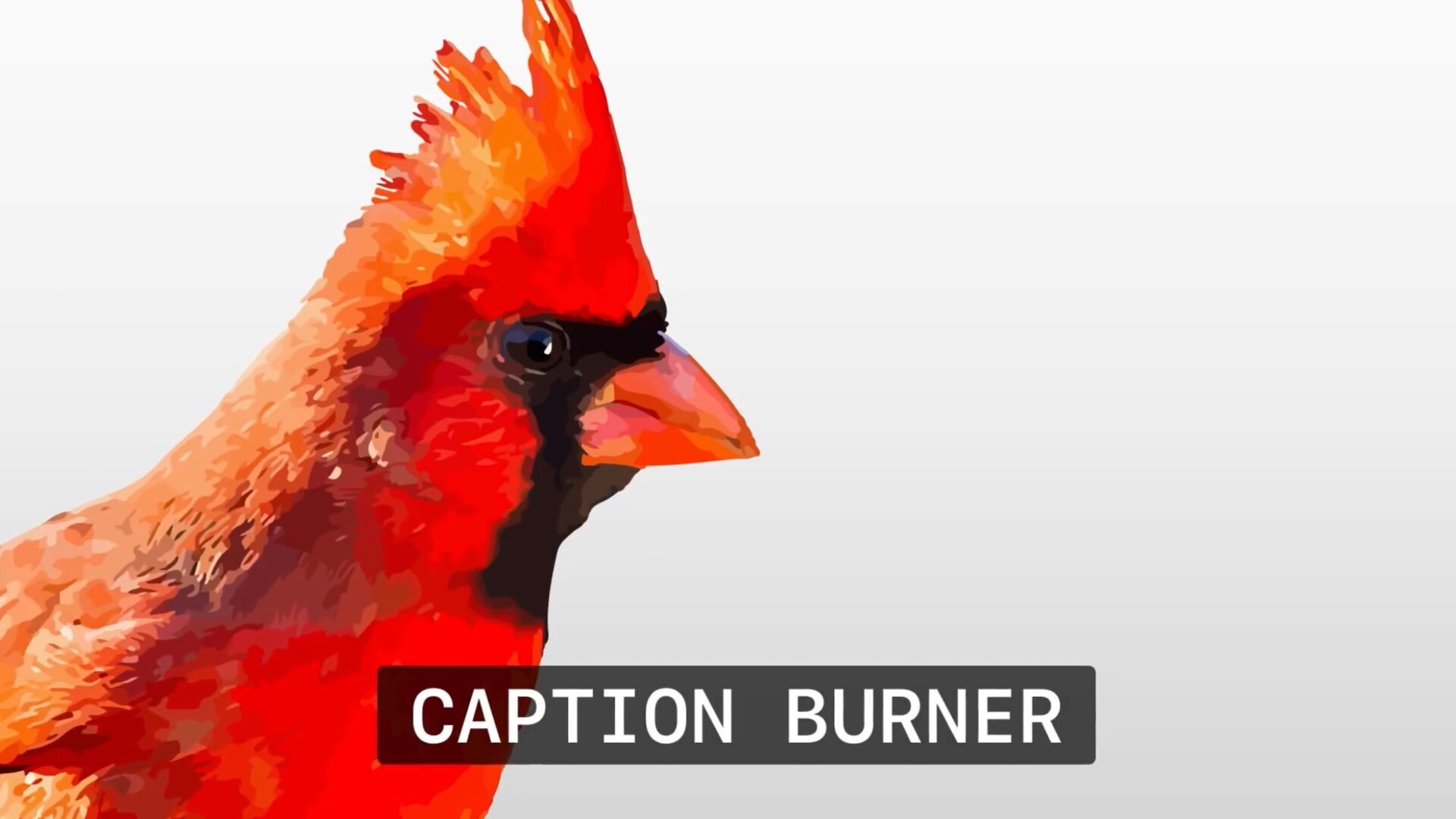 FCPX插件:Caption Burner for mac(轻松刻录视频字幕插件)