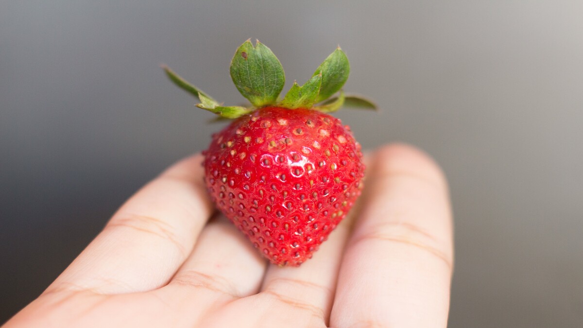 草莓水果手