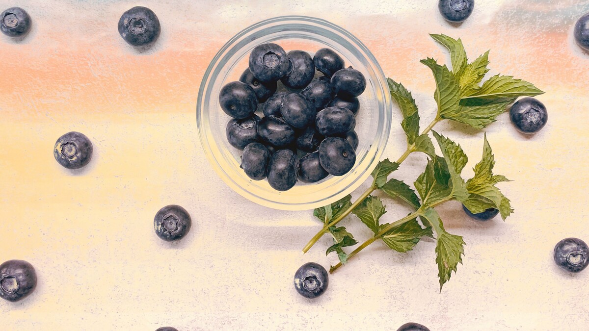 蓝莓浆果分支机构