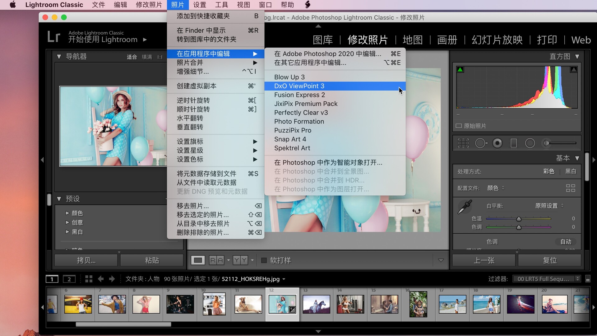 DxO ViewPoint mac破解版下载-DxO ViewPoint 4 for Mac(照片修复校正工具)