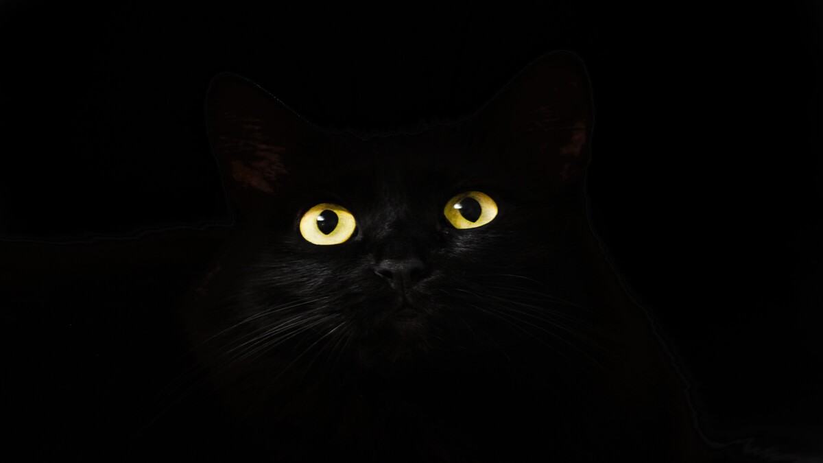 黑猫眼黑5k（4k）