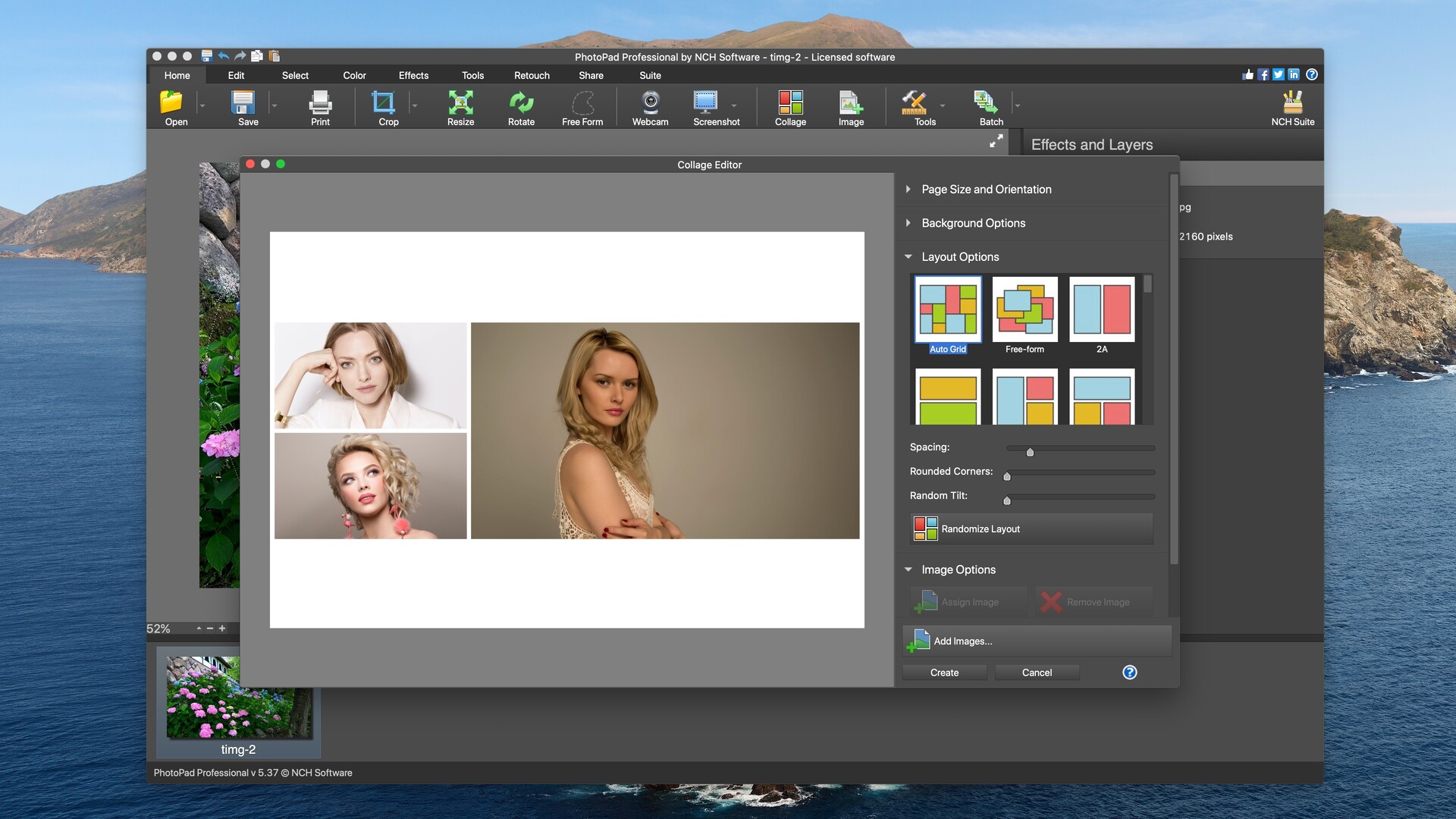 download the new version for apple NCH PhotoPad Image Editor 11.51