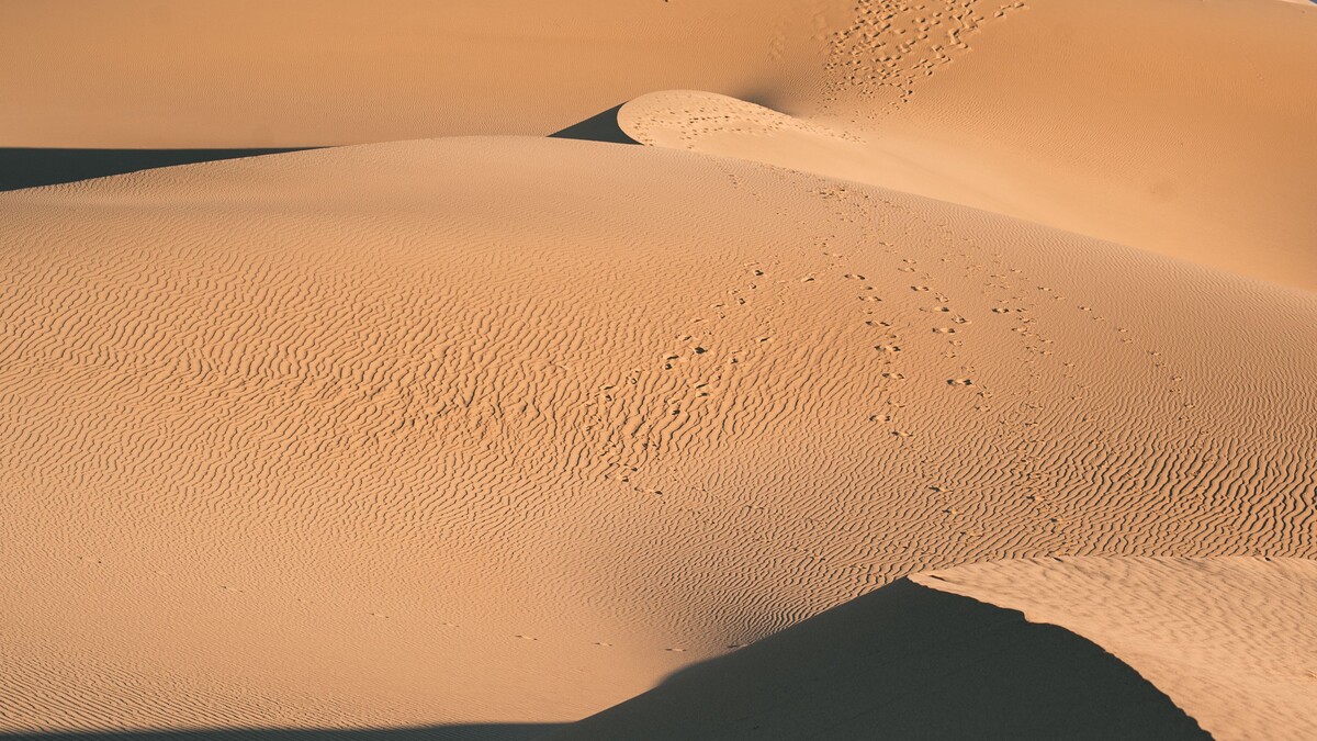 沙漠沙丘空中视图