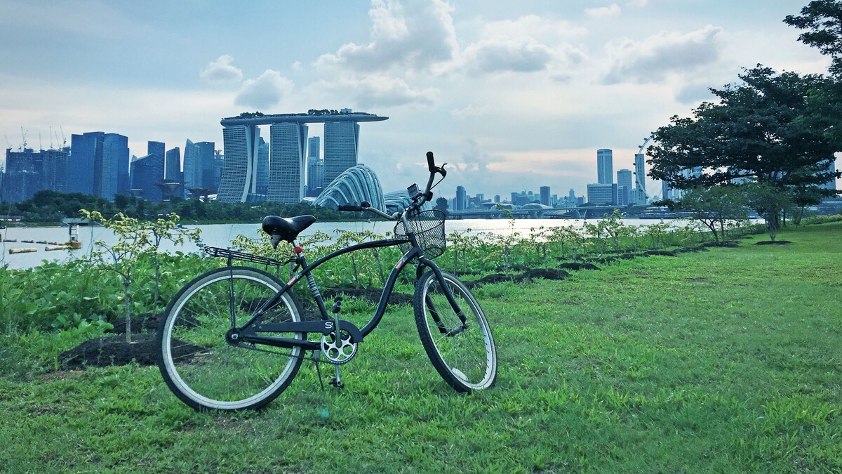 自行车景观城市