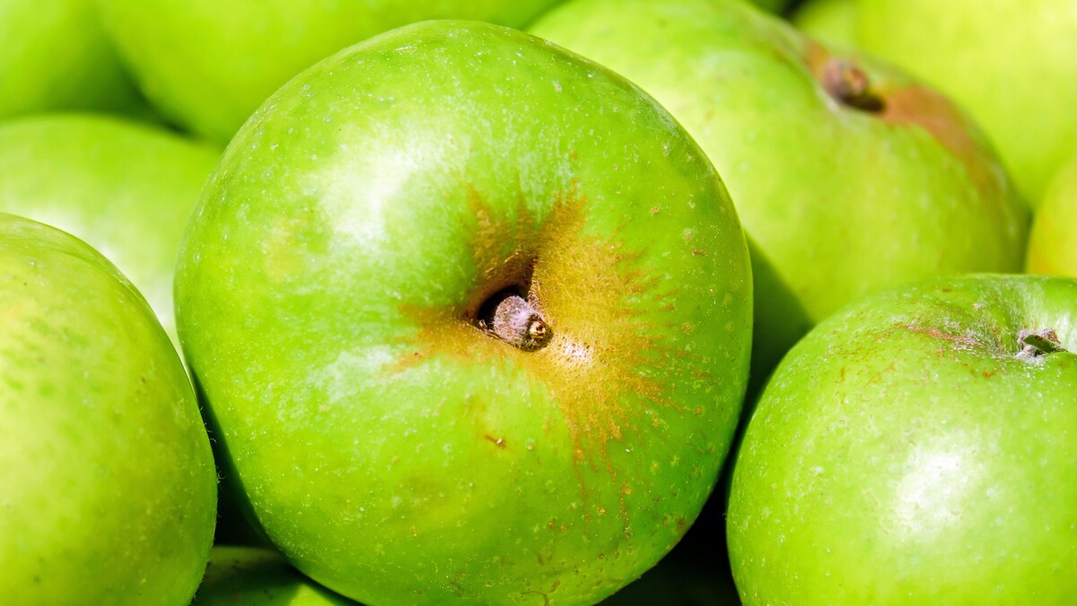苹果水果绿色