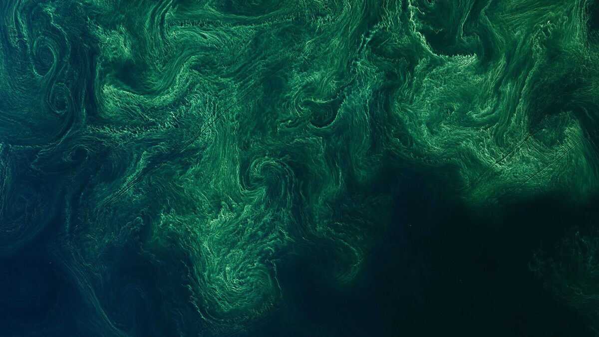 绿海抽象表面