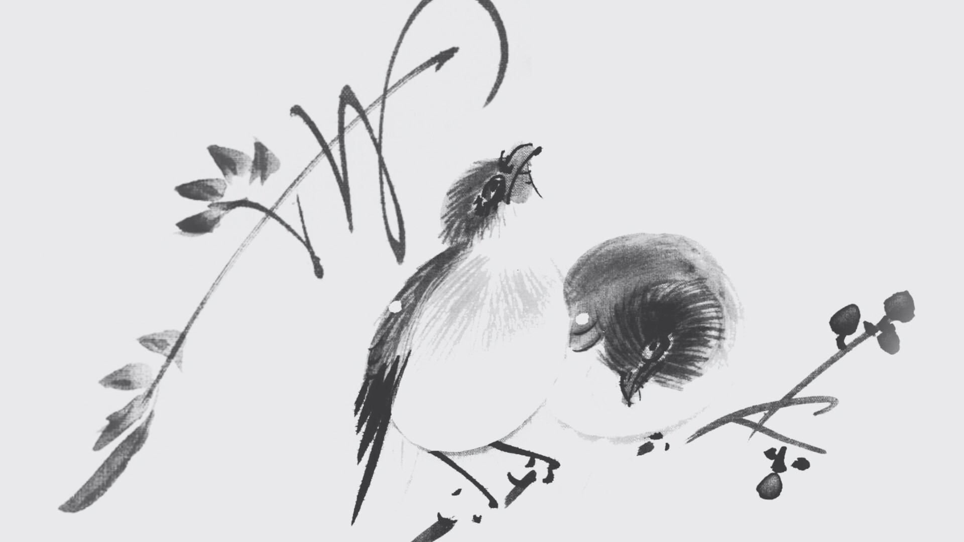 中国古典水墨鸟类和树枝PS笔刷