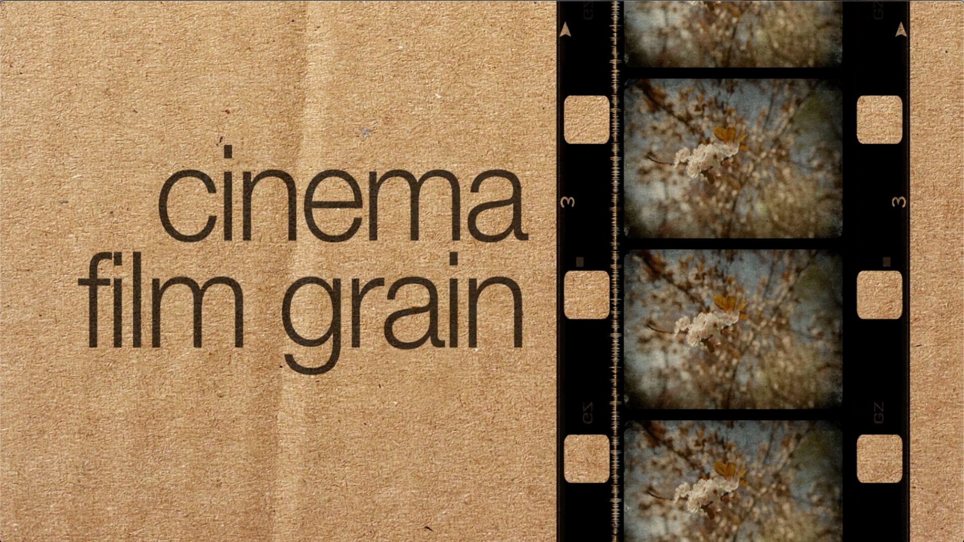 fcpx插件Cinema Film Grain(电影胶片颗粒)