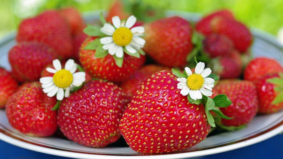<em>草莓</em>红莓