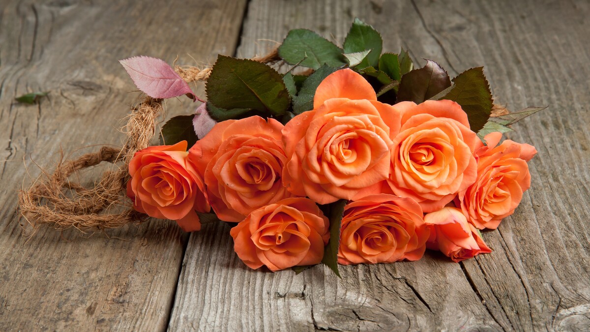 花花束玫瑰壁纸 花 花束 玫瑰壁纸 橙色图片 木板 颜色 橙色图片hd 花束照片 橙糖