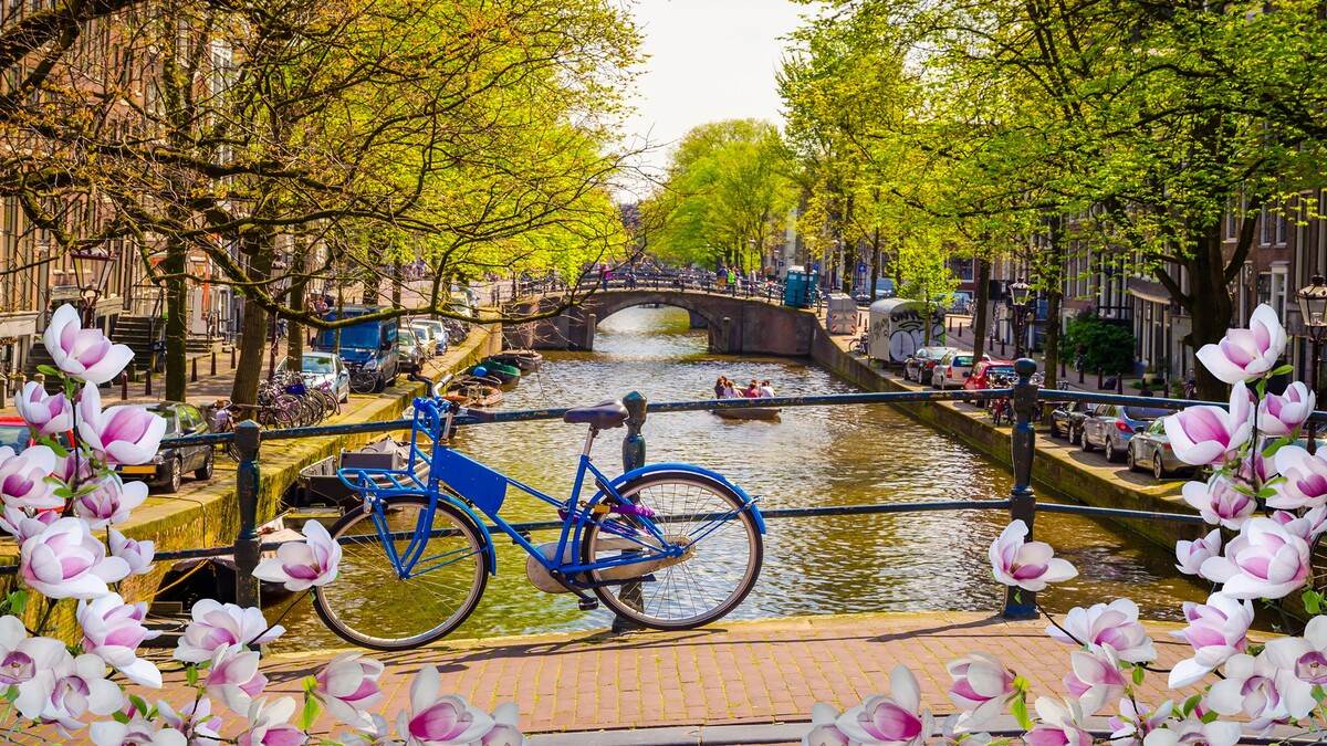 城市阿姆斯特丹壁纸荷兰