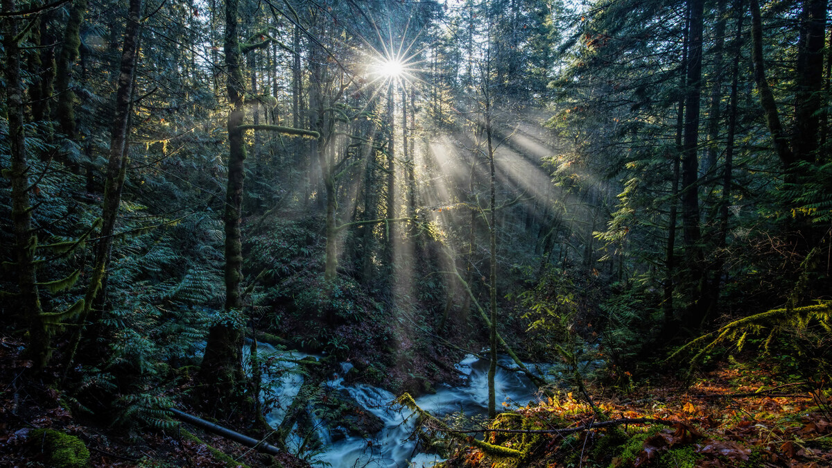 自然光线加拿大摄影