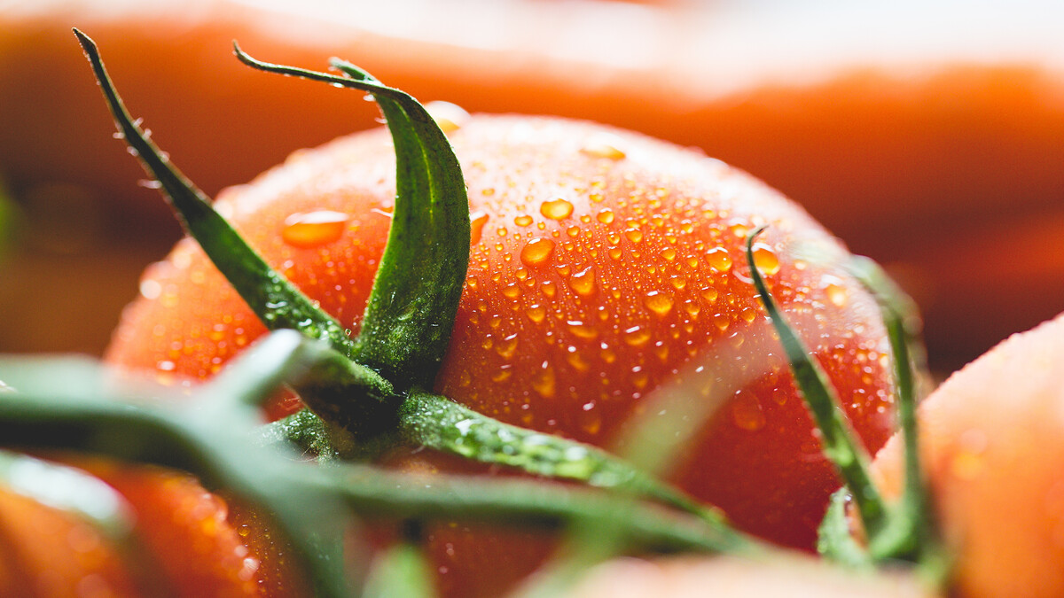 食物西红柿hd图片战斗宏观测量