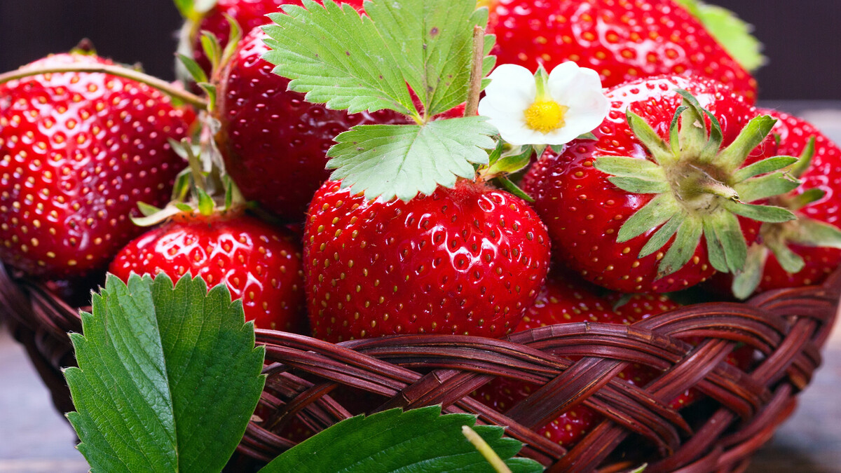 食物摄影欧洲草莓水果城hd