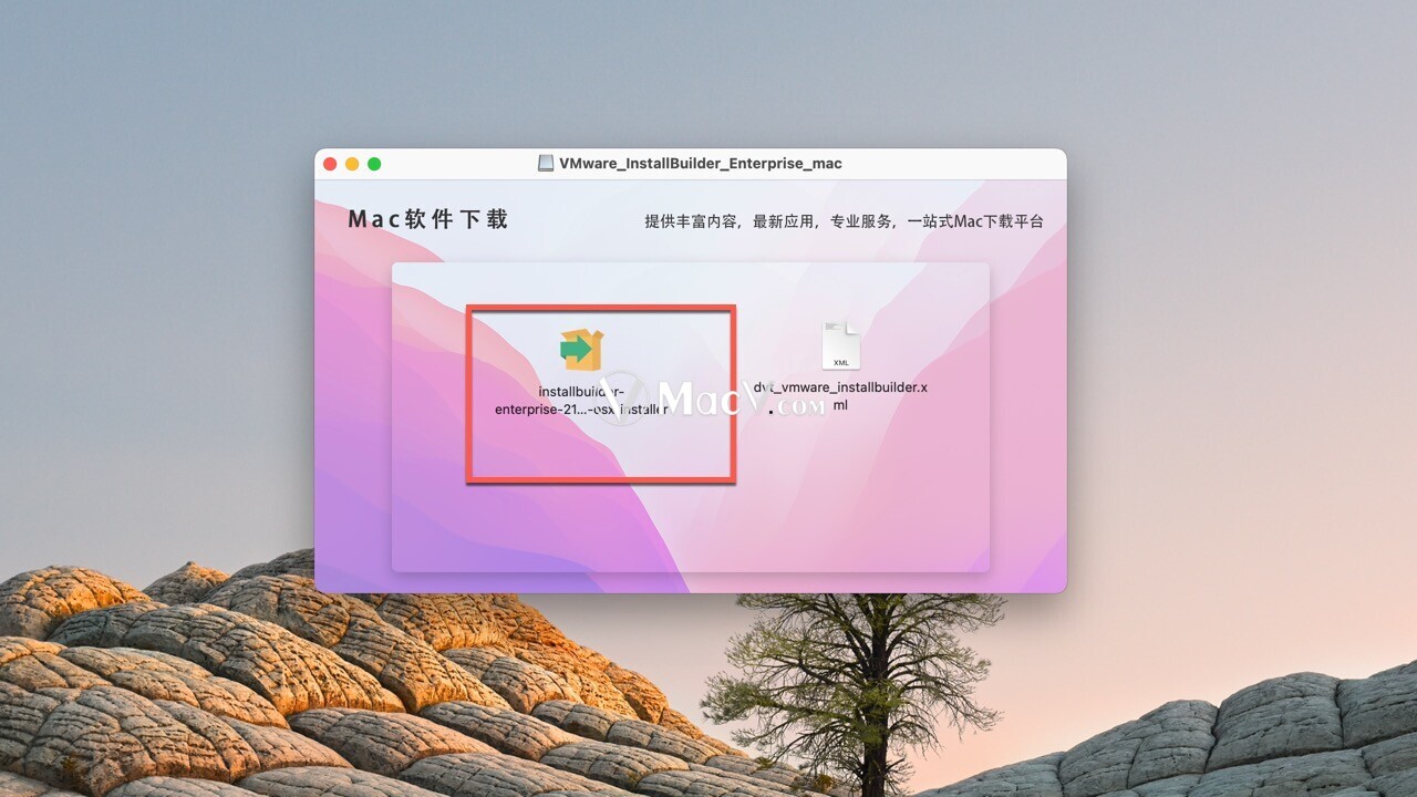 VMware InstallBuilder Mac下载-VMware InstallBuilder Enterprise Mac(系统优化更新工具)