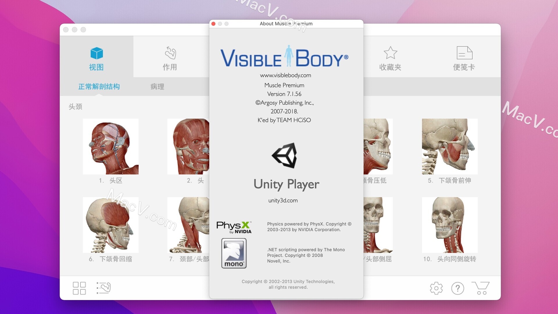 Muscle Premium下载-Visible Body Muscle Premium for Mac(肌肉和骨骼解剖教学软件)