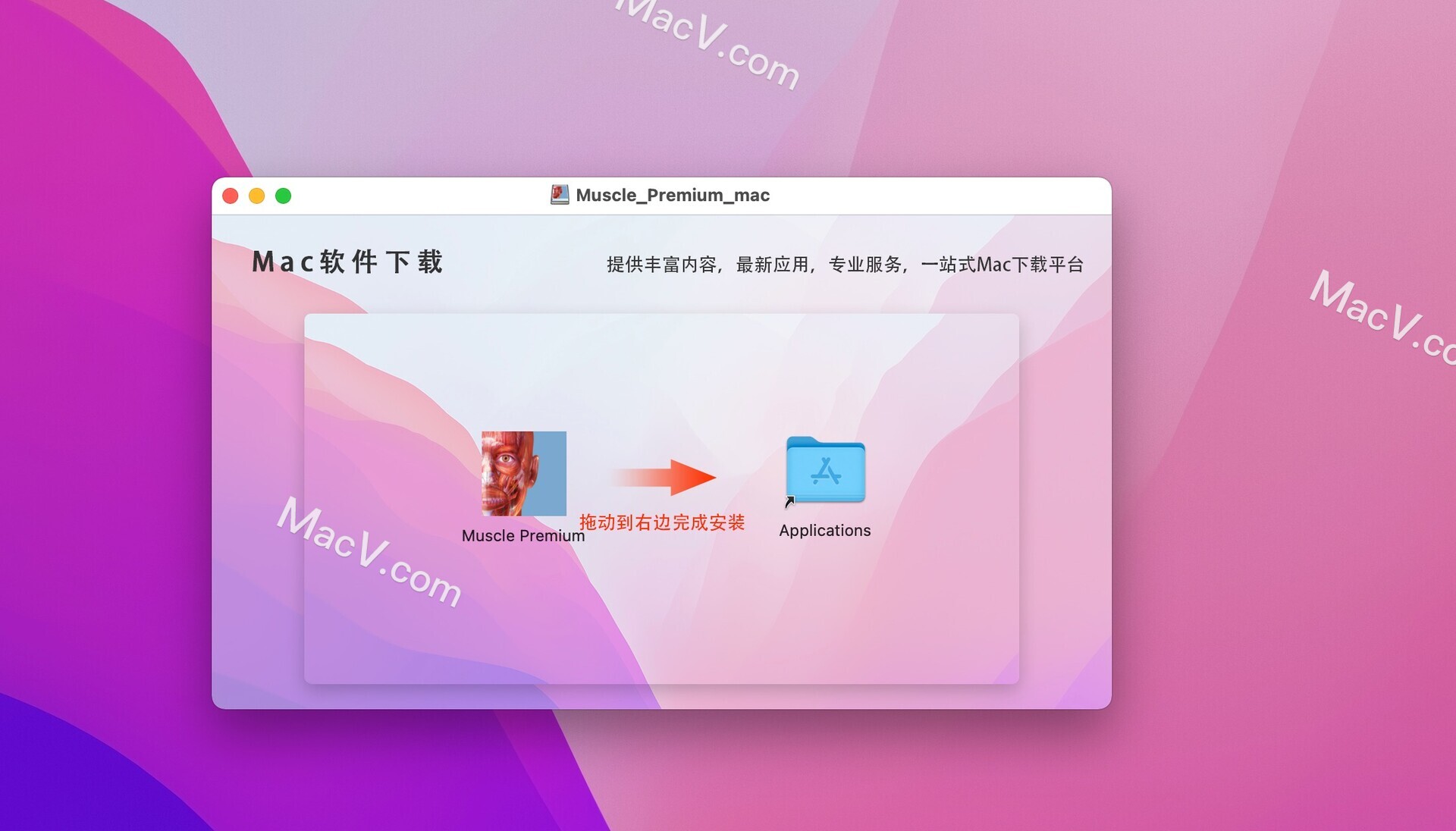 Muscle Premium下载-Visible Body Muscle Premium for Mac(肌肉和骨骼解剖教学软件)