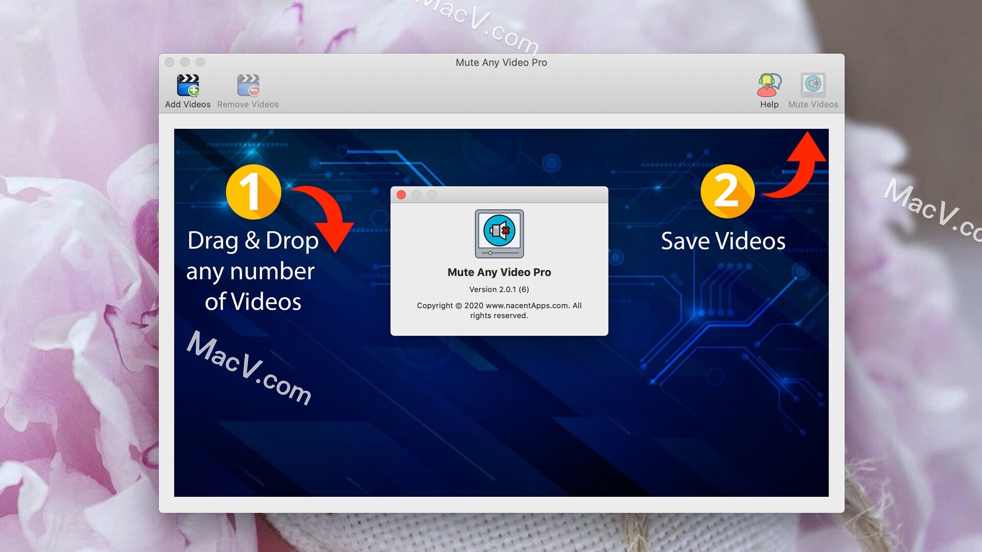 Mute Any Video Pro破解版-Mute Any Video Pro for Mac(视频静音软件)下载